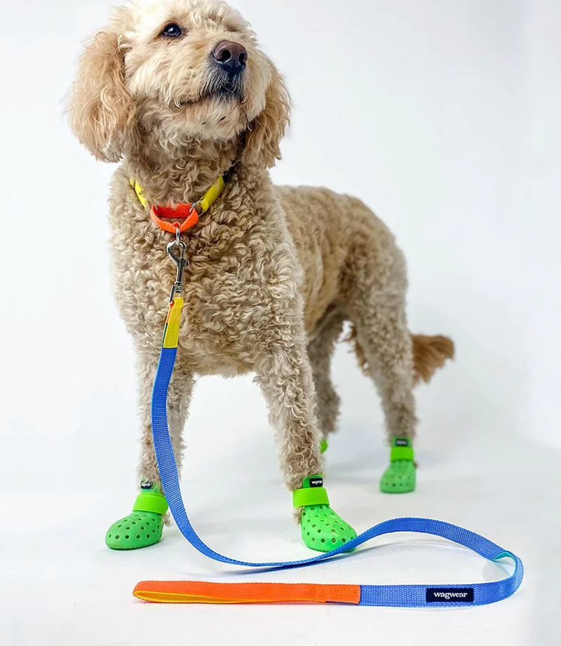 Load image into Gallery viewer, Wagwear WagWellies Mojave Neon Green