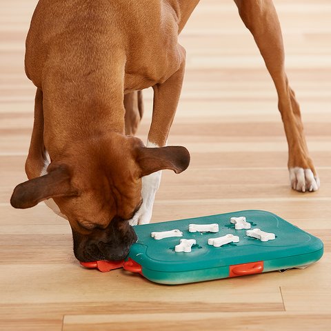 Load image into Gallery viewer, Nina Ottosson Dog Casino - Discover Dogs