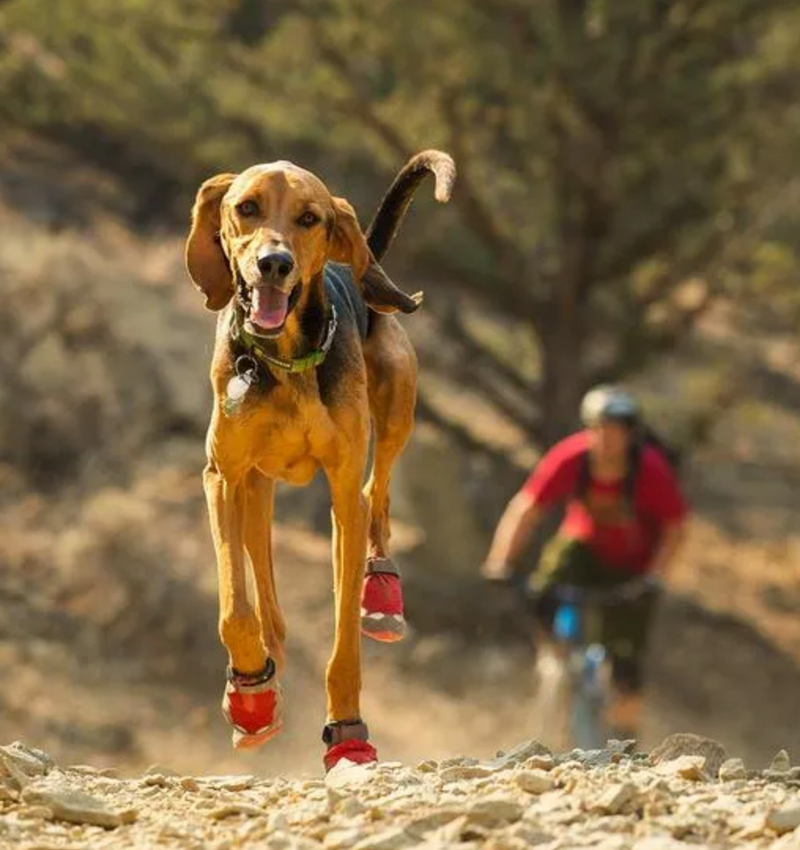 Load image into Gallery viewer, Ruffwear Grip Trex Obsidian Black