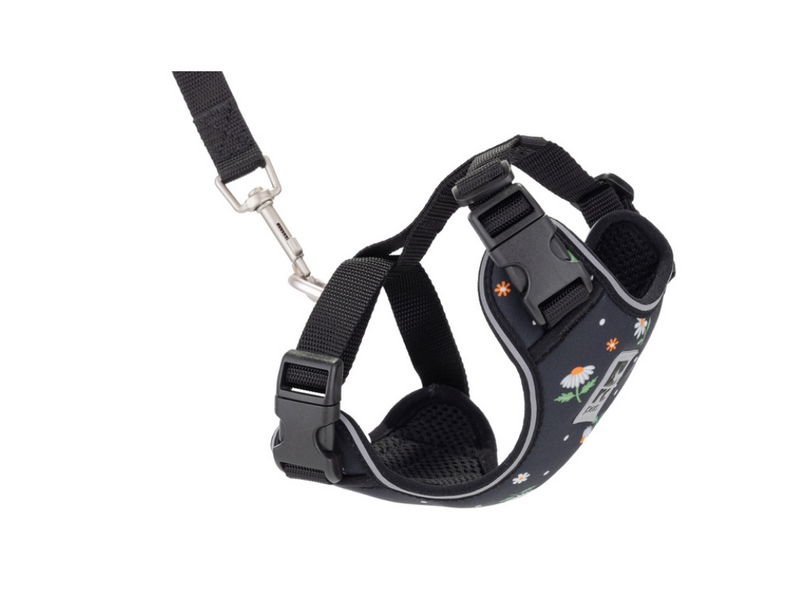 Load image into Gallery viewer, Adventure Kitty Harness