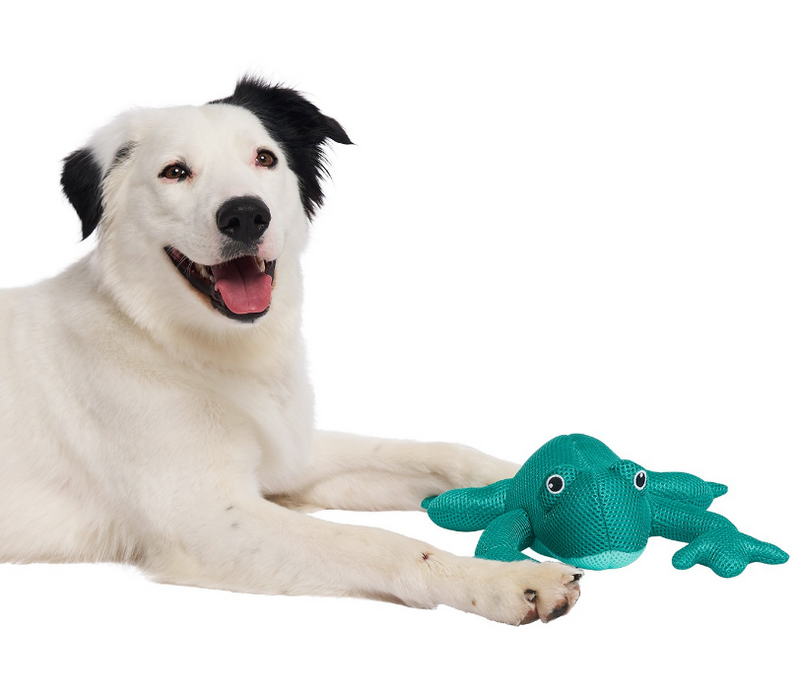 Load image into Gallery viewer, Canada Pooch Chill Seeker Cooling Pals Teal Frog