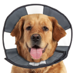 Load image into Gallery viewer, Zenpet Zencone - Discover Dogs