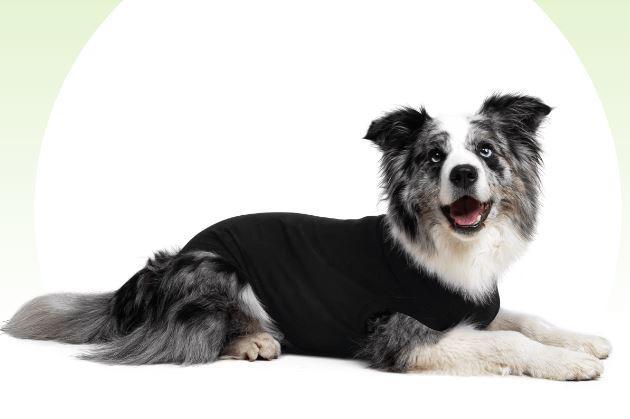 Load image into Gallery viewer, Suitical Recovery Suit Dog