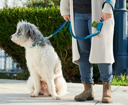 Load image into Gallery viewer, RC P.U.P. Bag - Discover Dogs