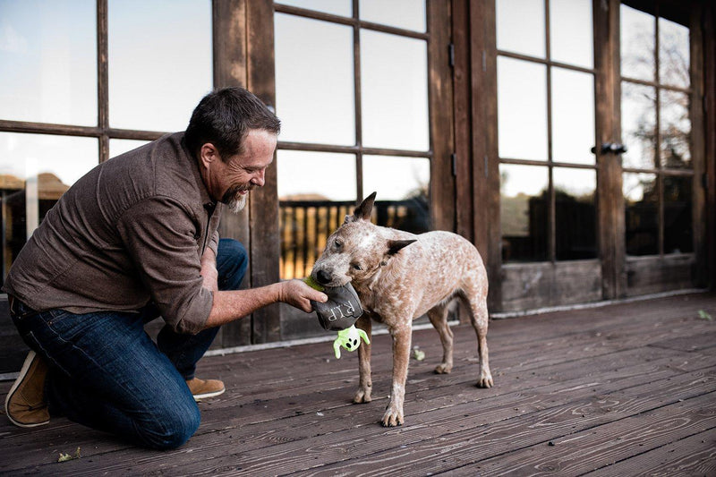 Load image into Gallery viewer, PLAY Howling Haunts Ghoulish Grave