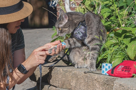 Load image into Gallery viewer, RC Pocket Pet First Aid Kit