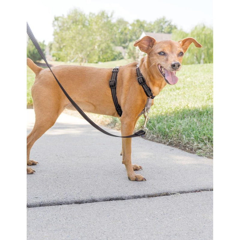 Load image into Gallery viewer, PetSafe 3 in 1 Harness Black - Discover Dogs