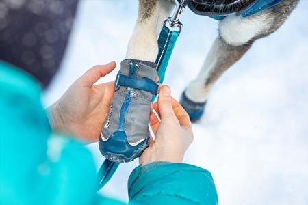 Load image into Gallery viewer, RC Pets Arctic Boot