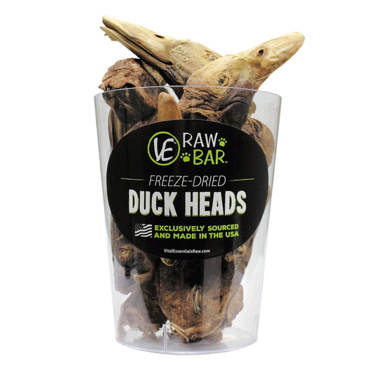 VE Duck Head - Discover Dogs Online
