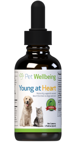 Load image into Gallery viewer, PW Young At Heart - Discover Dogs Online