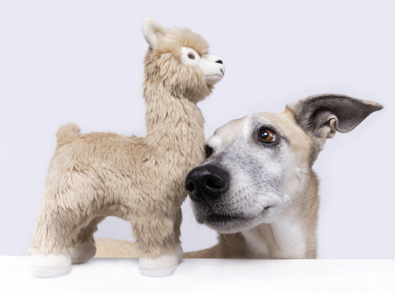 Load image into Gallery viewer, Fluff & Tuff Inca Alpaca 11''