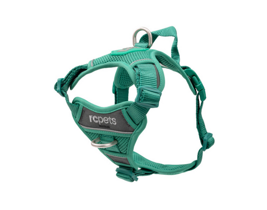 RC Momentum Harness Parakeet