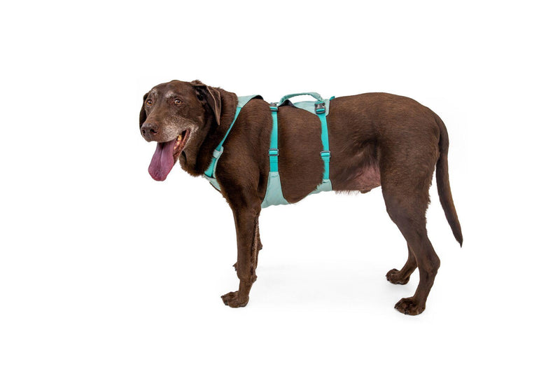 Load image into Gallery viewer, Ruffwear Flagline Harness Sage Green