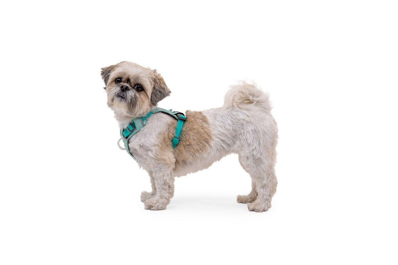 Load image into Gallery viewer, Ruffwear Hi & Light Harness Sage Green