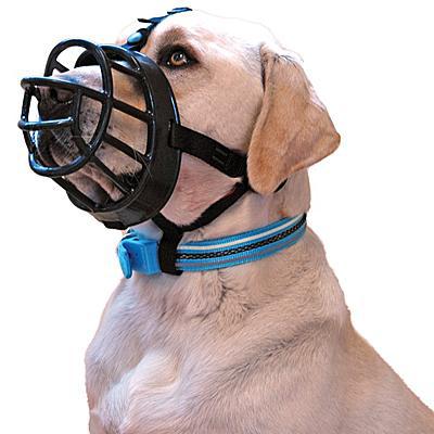 Baskerville Muzzle – Discover Dogs - Main Image
