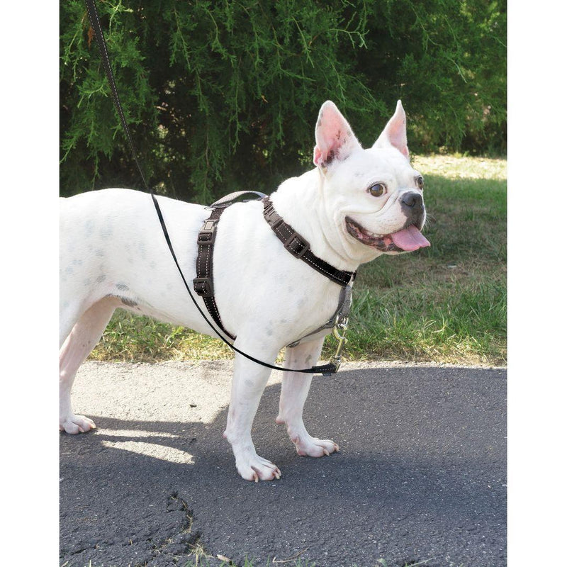 Load image into Gallery viewer, PetSafe 3 in 1 Harness Black - Discover Dogs