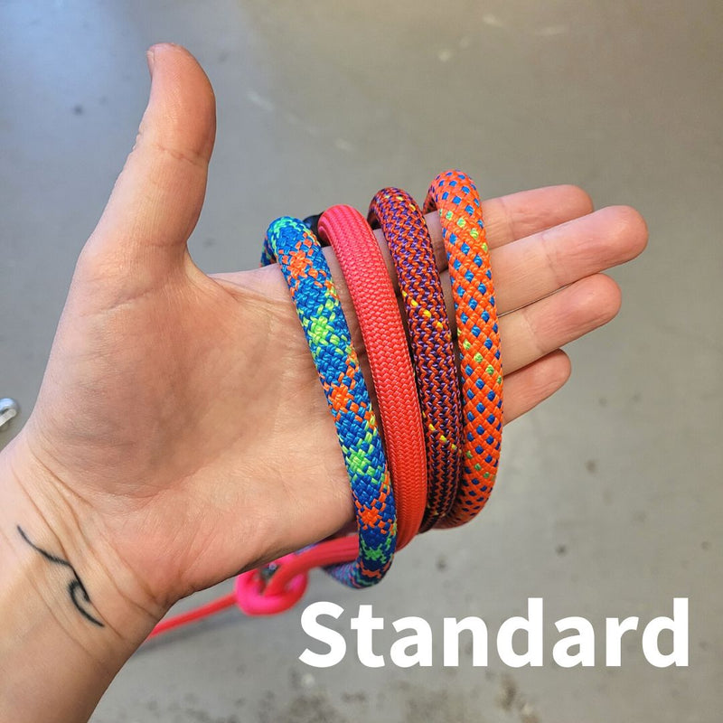 Load image into Gallery viewer, Mountain Dog Leash 6' - Discover Dogs