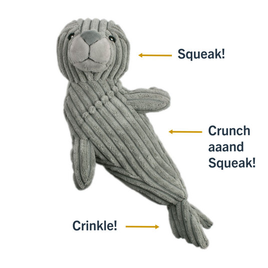 Tall Tails Plush Seal w/ Crunch