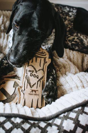 Load image into Gallery viewer, Tall Tails Leather & Wool Log - Discover Dogs