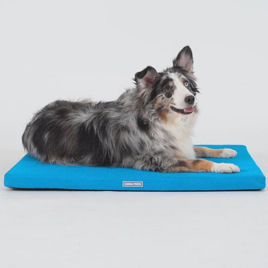 Load and play video in Gallery viewer, Canada Pooch Chill Out Cooling Mat
