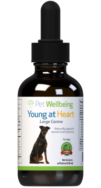 Load image into Gallery viewer, PW Young At Heart - Discover Dogs Online