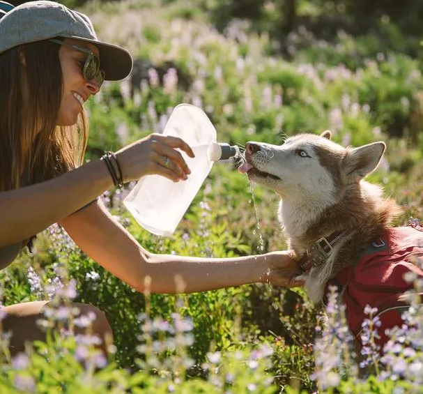 Load image into Gallery viewer, dog drinking from ruffwear water bladder
