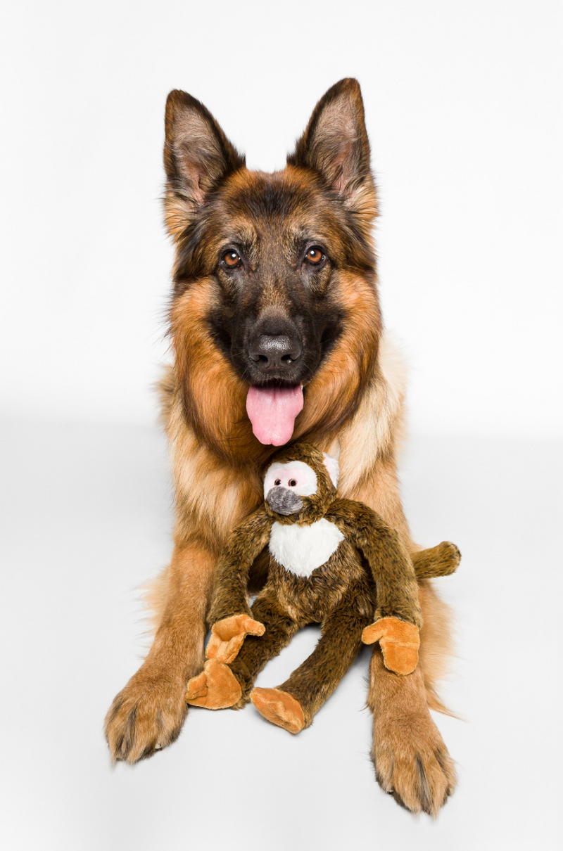 Load image into Gallery viewer, Fluff & Tuff Albert Monkey 15''