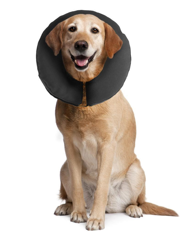 Load image into Gallery viewer, ZenDog Inflatable Zen Collar