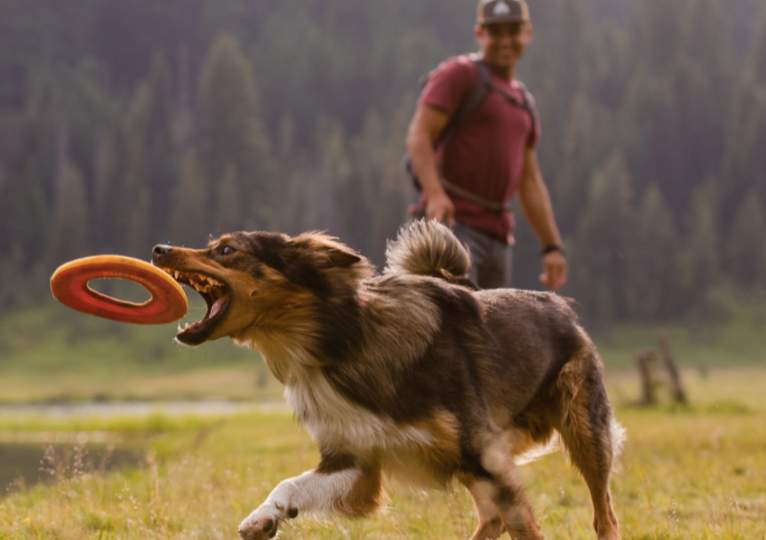 Load image into Gallery viewer, Ruffwear Hydro Plane