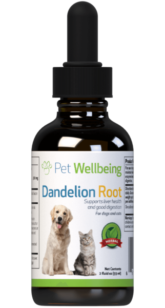 PW Dandelion Root - Discover Dogs Online