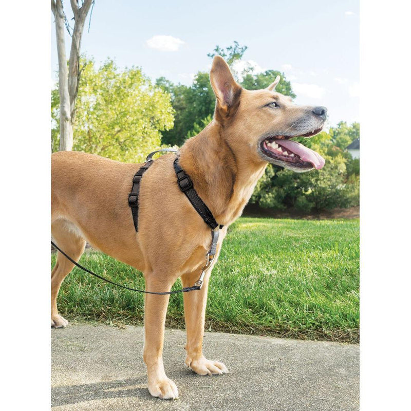 Load image into Gallery viewer, PetSafe 3 in 1 Harness Black - Discover Dogs