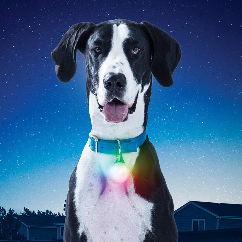 Load image into Gallery viewer, Nite Ize SpotLit Rechargeable Collar Light Jewel