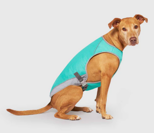 Canada Pooch Chill Seeker Cooling Vest Wet Reveal Green Smiley
