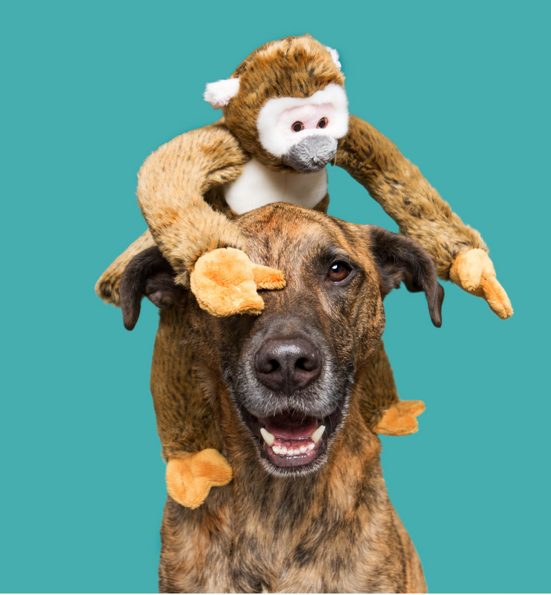 Load image into Gallery viewer, Fluff & Tuff Albert Monkey 15''