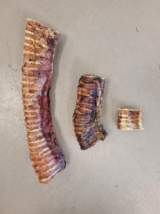 Noah's Ark Bulk Beef Windpipe - Discover Dogs Online