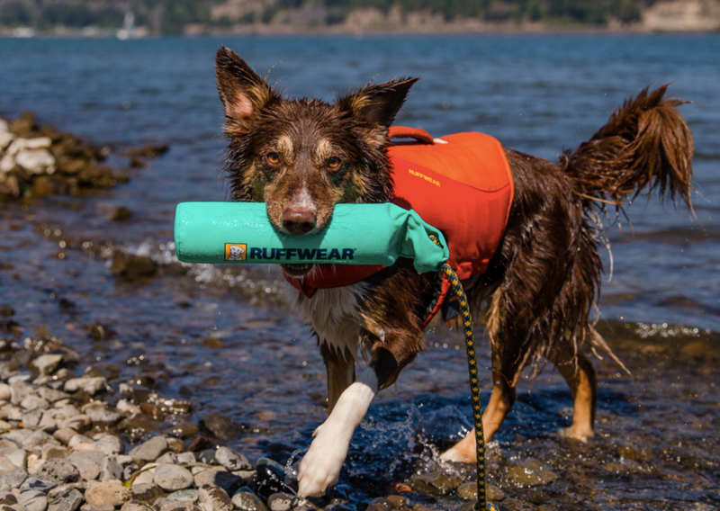 Load image into Gallery viewer, Ruffwear Lunker - Discover Dogs