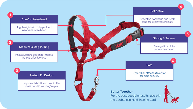 Load image into Gallery viewer, Halti Head Collar - Discover Dogs