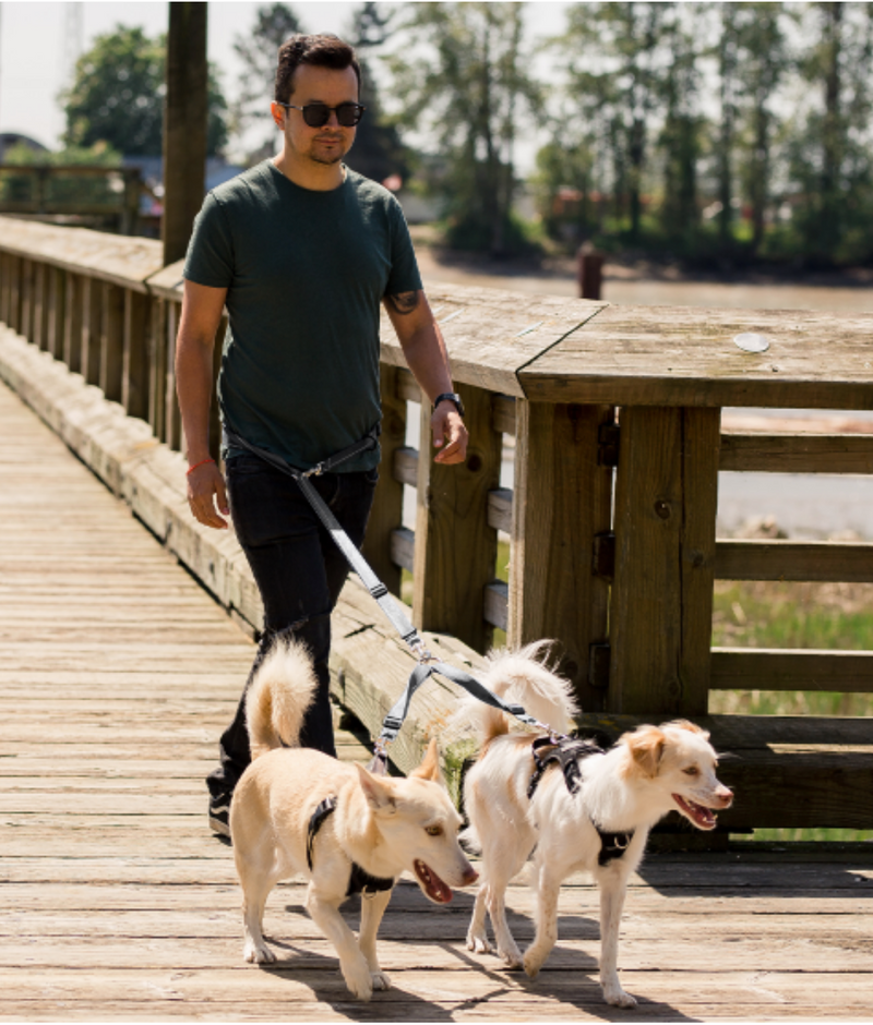 Load image into Gallery viewer, RC Primary Adjustable Coupler Black - Discover Dogs