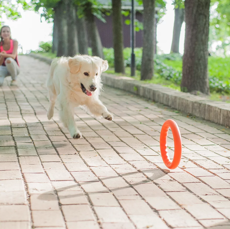 Load image into Gallery viewer, PitchDog Ring 11'' (30cm) Large - Discover Dogs