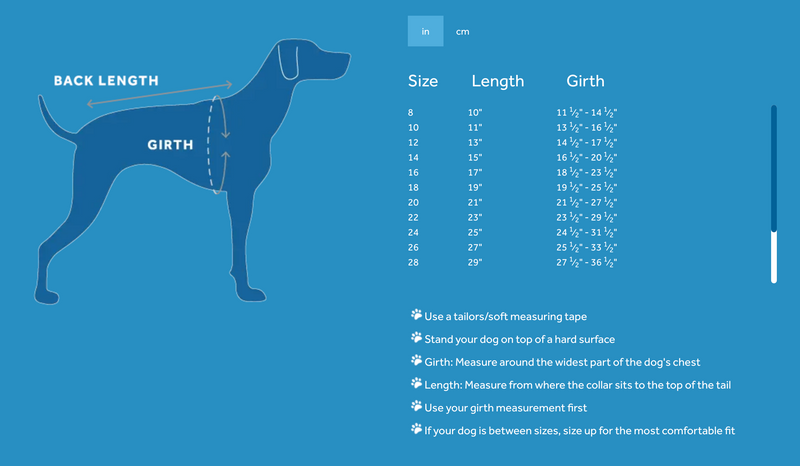 Load image into Gallery viewer, RC Baseline Fleece Dark Olive/Green