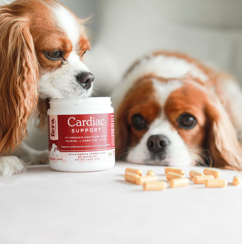 Load image into Gallery viewer, Fera Pet Organics Cardiac Support for Dogs & Cats