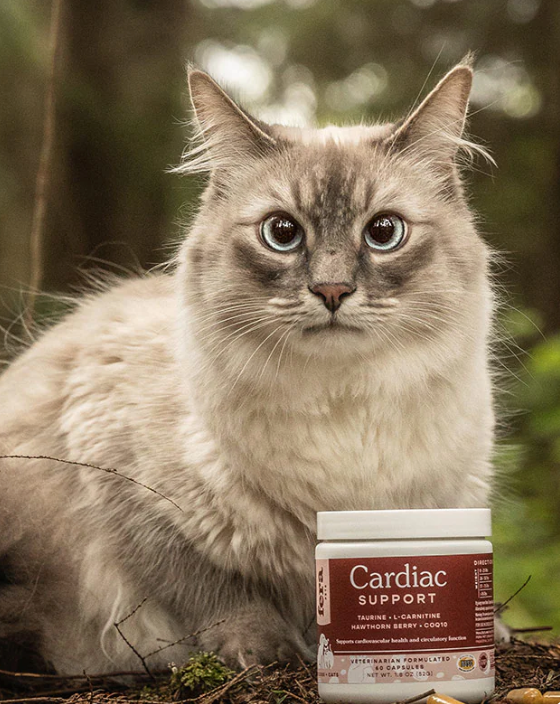 Load image into Gallery viewer, Fera Pet Organics Cardiac Support for Dogs & Cats