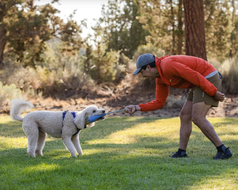 Load image into Gallery viewer, Ruffwear Gourdo Sage Green