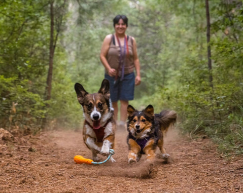 Load image into Gallery viewer, Ruffwear Gourdo Sage Green