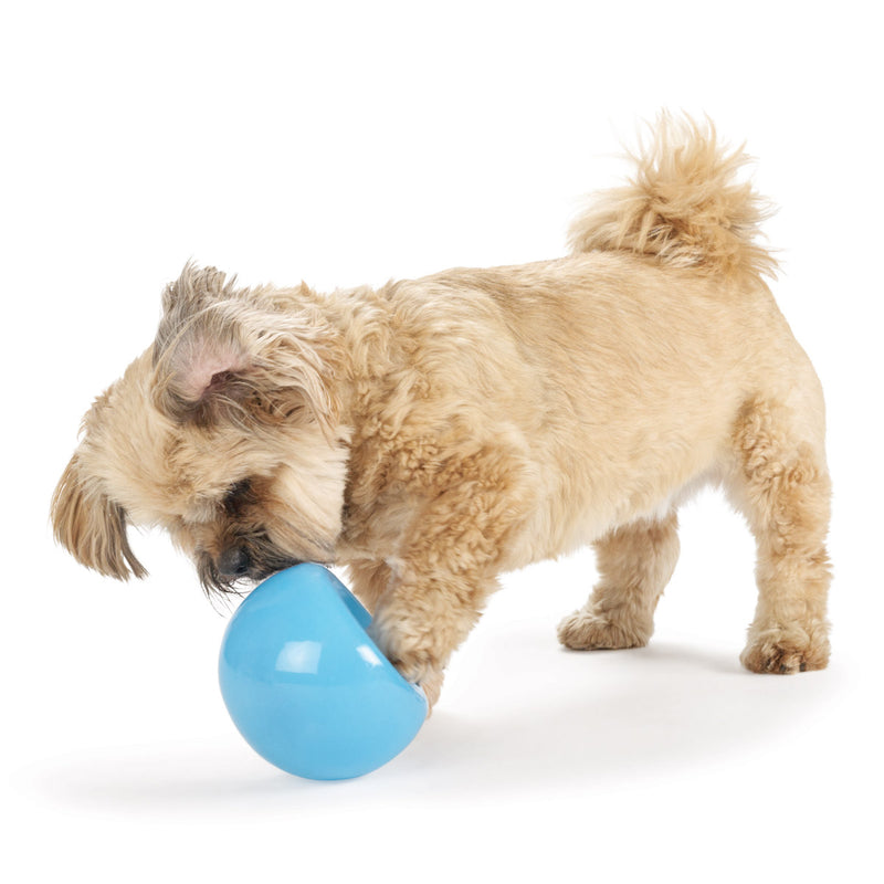 Load image into Gallery viewer, Planet Dog Snoop Blue - Discover Dogs Online