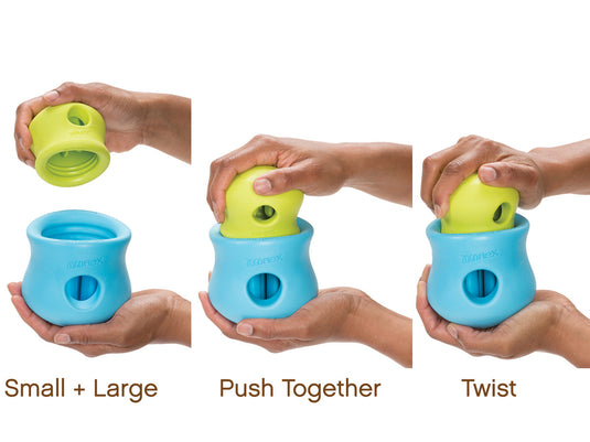 Toppl Aqua - Discover Dogs