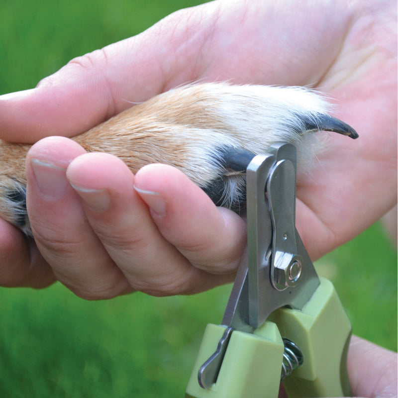 Load image into Gallery viewer, Safari Nail Trimmer M/L - Discover Dogs Online
