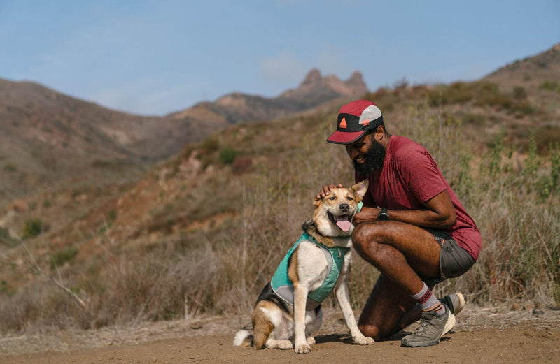 Load image into Gallery viewer, Ruffwear Hi & Light Harness Sage Green