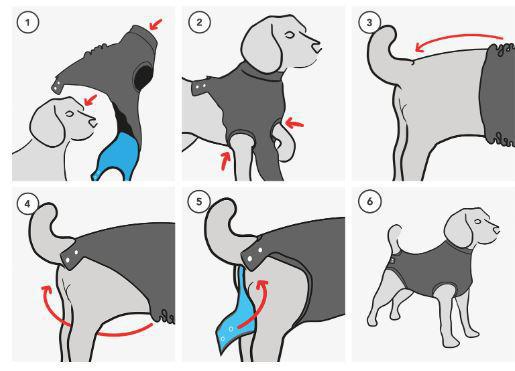 Load image into Gallery viewer, Suitical Recovery Suit Dog