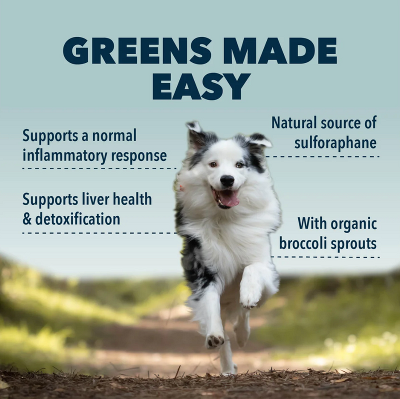 Load image into Gallery viewer, Four Leaf Rover Green Rover - Green Ferment For Dogs